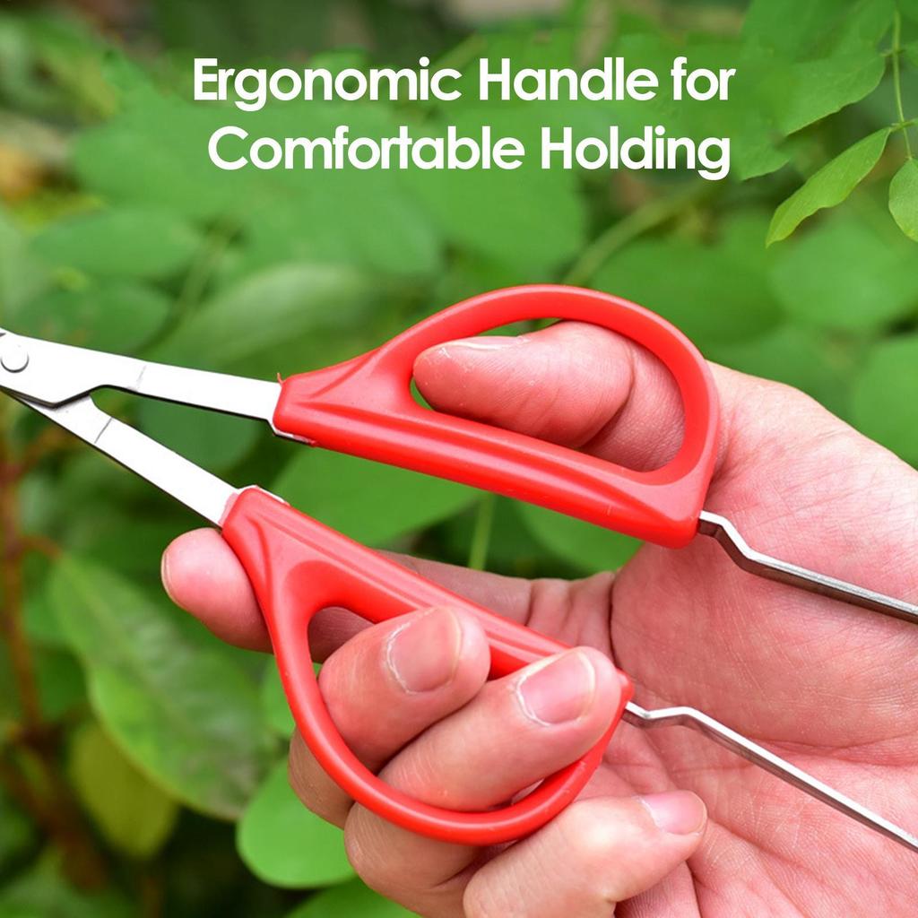 Grape Scissors Pruning Shears W/ Tweezers Garden Tool Vegetable Patch Bonsai Professional Joinery Stainless Steel Fruit Picking