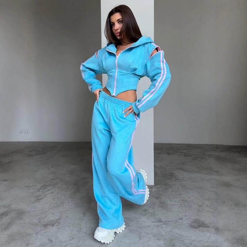 Y2K Hooded Crop Zip-Up Top Elastic Waist Wide Leg Pants 2-Piece Set Women Streetwear Casual Outfit