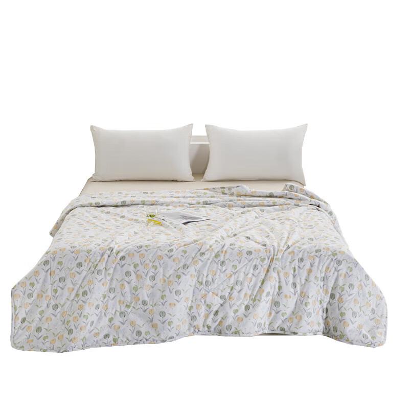 Hengyuanxiang Spring Garden All-Season Pillow Quilt