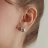 Twinkle Star Earrings EC3048