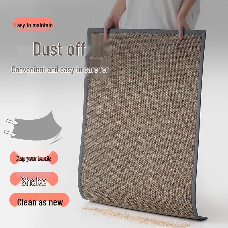 Dajiang Entrance Door Mat