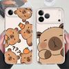 Soft Phone Cover Case for iPhone 17 Pro Max 15 XR XS Max 11 13 Pro 12 Mini Air 14 Plus 7 8 16 Cartoon Capybara