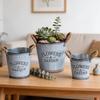 Retro Metall Pflanztopf Blumentopf mit Seilgriffen Antiker Pflanztopf für Sukkulenten Kleine Zimmerpflanzen Schreibtisch Dekoration