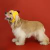 Knitted Dog Hat Cat Pompon Hat Winter Warm Hat with Ear Holes for Small Dogs And Cats Daily Wear Photography Prop