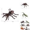 Allomyrina Dichotoma Model Pvc Realistic Display Scene For Science Education And Collectors