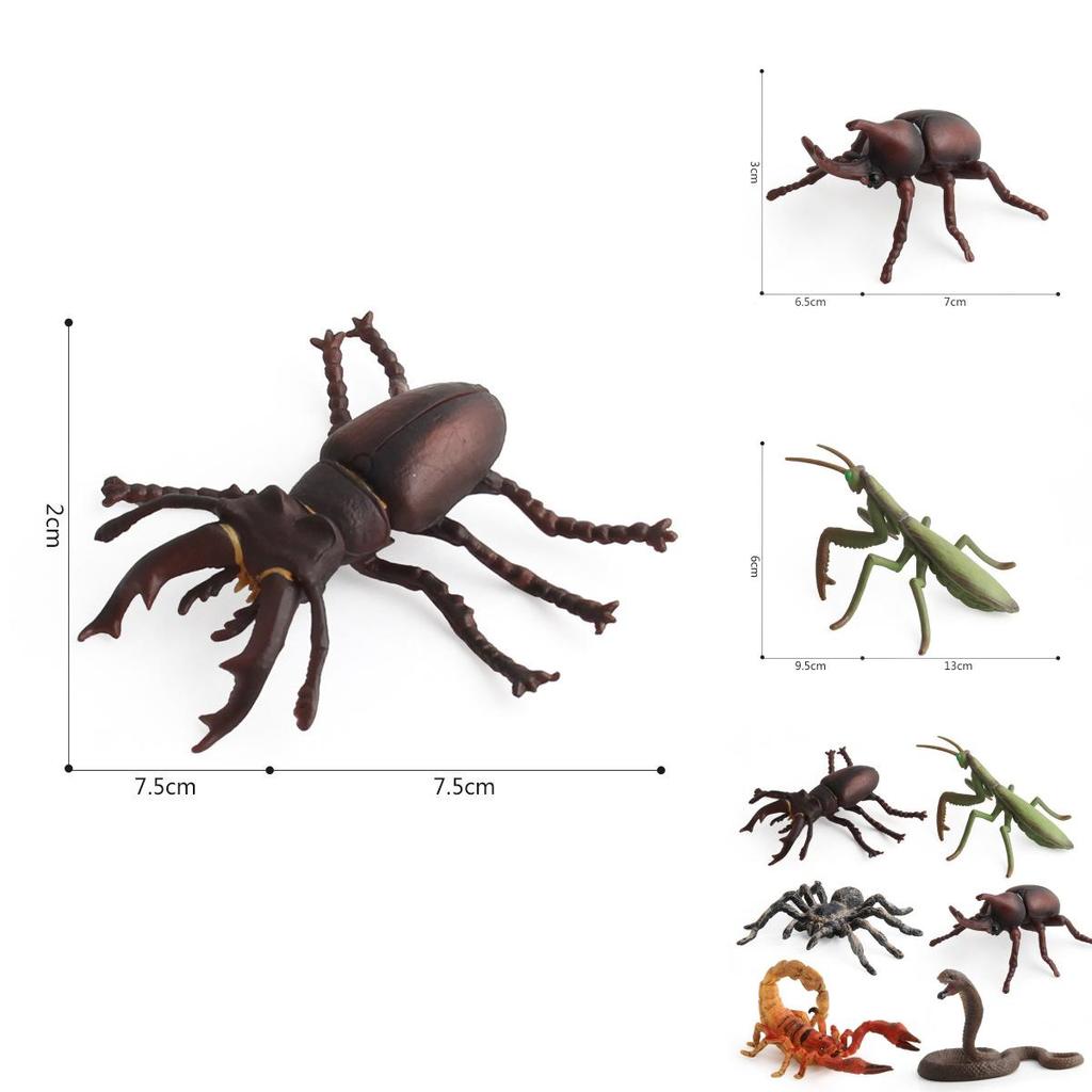 Allomyrina Dichotoma Model Pvc Realistic Display Scene For Science Education And Collectors