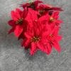 New Realistic Roses Artificial Flowers Artificial Durable Fake Rose Red Roses Rose Flower Branch for Wedding Home Decor