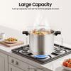 22L Aluminum Alloy Pressure Canner and Cooker 90Kpa Pressure Canner Built-in Pressure Gauge,Large Capacity, Explosion-proof