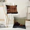 Singer HHilary Duff Luck Or Something Pillow Case Suitable For Bedrooms Living Rooms Cars Home Decoration