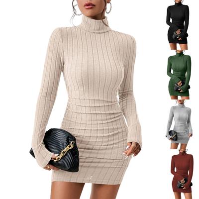Set Invernale a Collo Alto Dito Slim Temperamento Busto Fianchi Pacchetto Valore Abito Per Donna