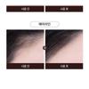 RiRe - SixPen Eyebrow Tint - 2 Colors