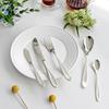 Multi-purpose Butter Knife