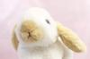 Takeoff Rabbit Marron Holland Lop White & Beige