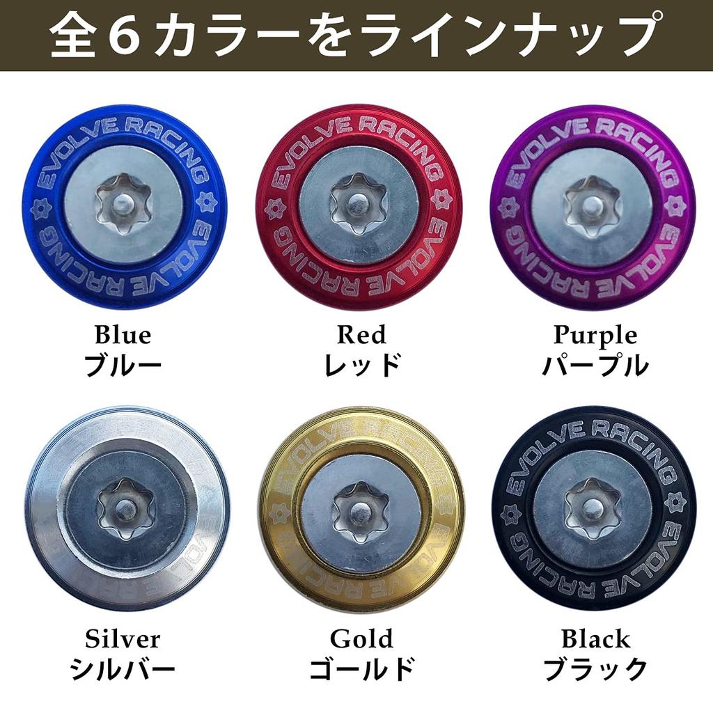 EVOLVERACING Anti-theft Bolt Set for License Plate Specific Vehicle Inspection (Gold Bolt Length 0.6 inch (15 mm)