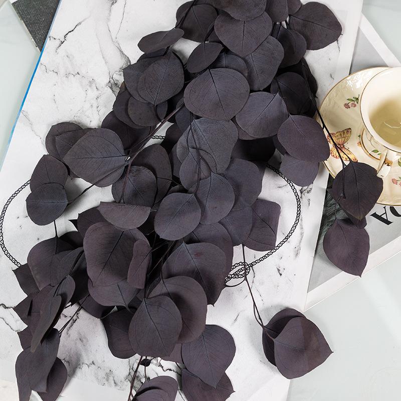 Eternal Apple Eucalyptus Millet Fruit Leaves Beauty Leaves Eucalyptus Leaves Air Dried Flowers And Leaves Multicolor Eucalyptus Leaves Home Decoration