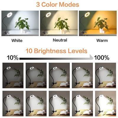 LED-Lampen – LED-Tischleuchten