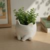 Ornaments Cat Shaped Flower Pot Lovely Plant Container For Plant Lovers Succulent Flower Pot  Table