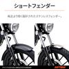 Daytona front fender stainless steel vertically adjustable 20mm 21906 GB350/S (21-23)