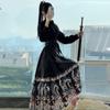 Chinese Ming Dynasty Style Hanfu Women's Stand Collar Daily Print horse-face  Skirt