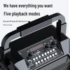 Newman K99 Portable Karaoke Speaker CN plug (adapter included)