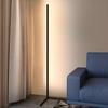 This Stylish Floor Lamp Features a Simple, Black, and Modern Design, Perfect for Corner Lighting In the Bedroom. It Features a USB Power Supply,
