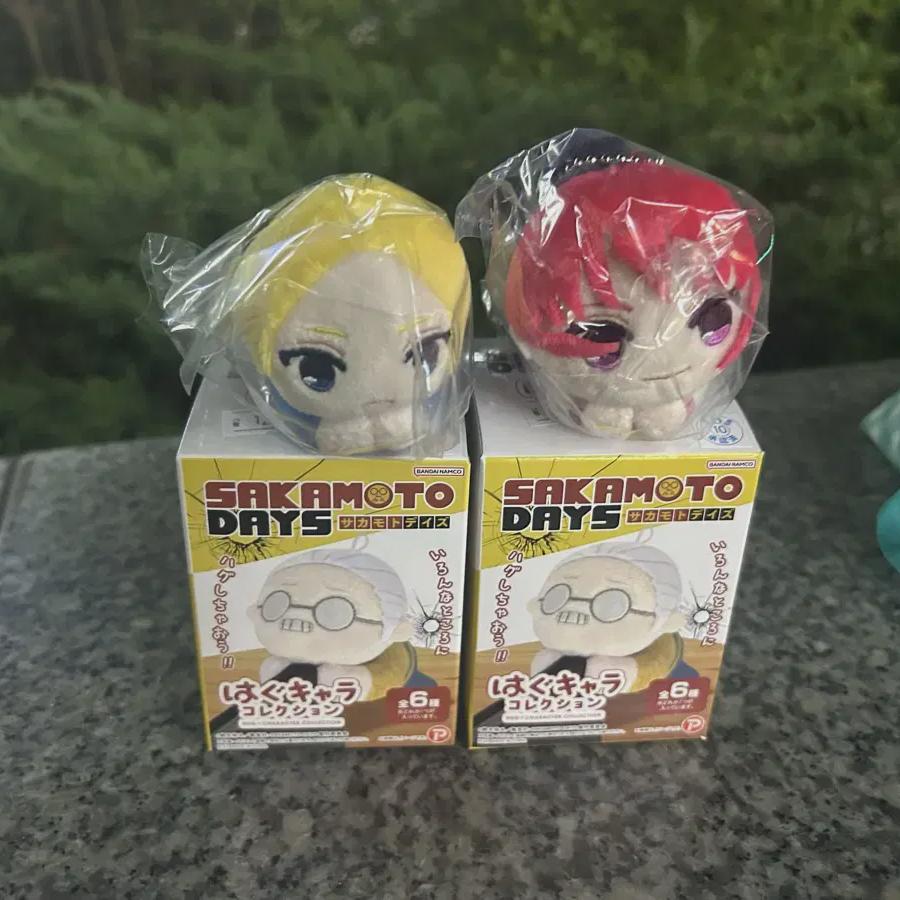 

Sakamoto Days Асакура Обнимашка Кьяра Шин/лу Значок!