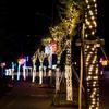 Bayco LED Solar String Lights