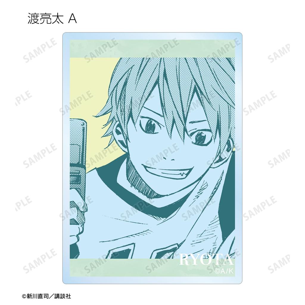 Your Lie In April Trading Manga Frame Acrylic Cards Box of 15