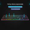 Rapoo V700RGB Alloy Edition Wired Mechanical Keyboard