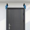 1 Pair Tropical Parrot Door Topper Wooden Blue Bird Door Frame Decoration Rustic Window Corner Wall Art for Home Bathroom Bedroom Office