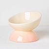 Gradient Color Elevated Ceramic Cat Bowl, Slanted Neck Protection Pet Food Bowl, Cute Raised Cat Bowl for Cats Dogs