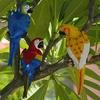 Tree Stump Parrot Ornament, Waterproof Resin Parrot Statue with Realistic Feather Texture, Outdoor Wall Mount Macaw Bird Ornament for Garden Tree