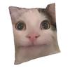 Polite Cat Meme Pillowcase Soft Polyester Cushion Cover Decorations Throw Pillow Case Cover Home Square 18"