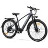 48V 9.6AH 500W – black