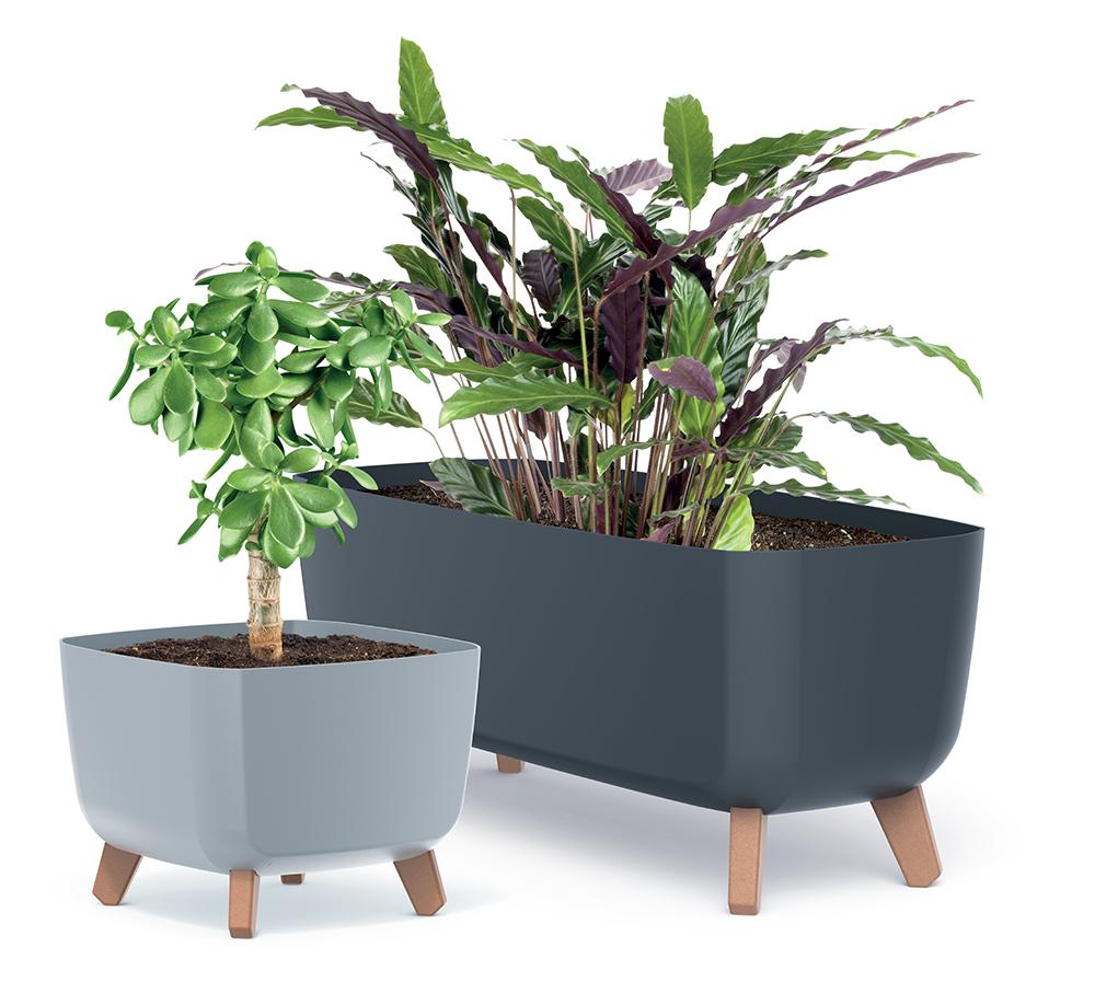 GRACIA CASE DGCL600 Blumentopf auf Beinen | Anthrazit