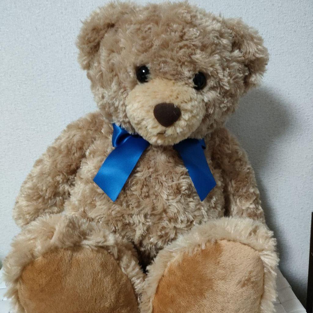 [USED] Honey Teddy Bear