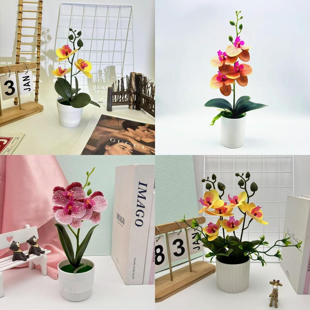 Butterfly Orchid Artificial Plant With 3d Printing For Home Decor And Photography Props