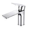 TLXT Stainless Steel Hot & Cold Basin Faucet