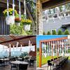 Double Sided Bird Deterrent Tape Laser Repellent Bird Repellent Tape Anti Bird Tape  Orchard Tool