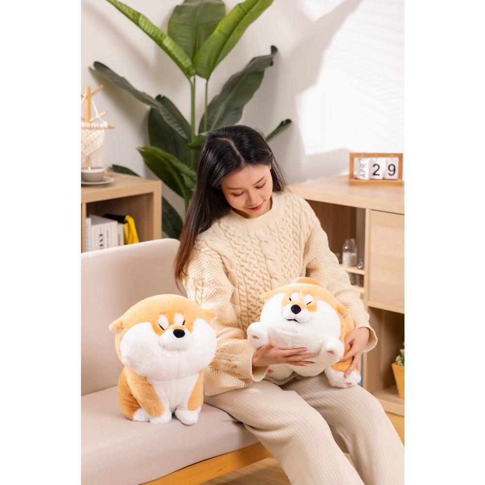 Internet Celebrity New Cute Achai Wolfberry Plush Toy Shiba Dog Doll Children's Birthday Gift Sleeping Doll