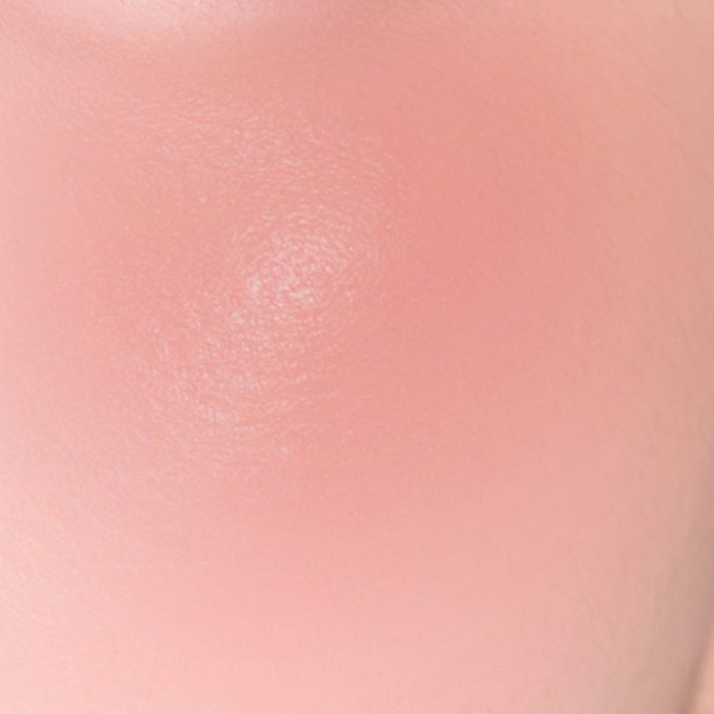 CLIO Essential Lipcheek Tap 4.5g (Dewy/Blur)