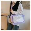 Clear Transparent Nylon Shoulder Bag for Women Fashionable Visible Panel Crossbody Purse Cute School Backpack CLE