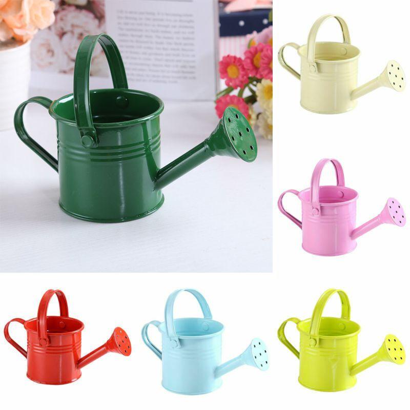 Flower Kettle Mini Water Spraying Metal Pot Watering Bottle Home Garden Decor
