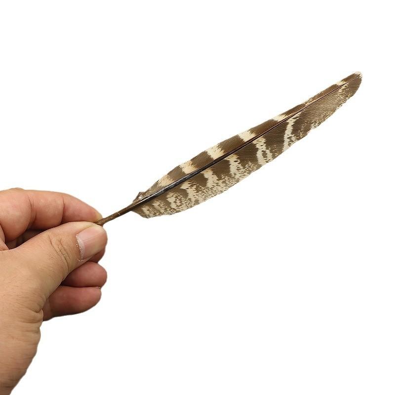 Female Pheasant Knife Collar 15-20Cm Female Pheasant Feather Natural Feather Diy Decorative Feather Accessories