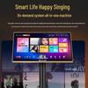 SANSUI SQ12+ Professional Home KTV Karaoke System CN Plug (adapter Included)