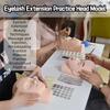 Closed Eyes Eyelash Extension Practice Model Flat Head Practice Mannequin  Face Painting