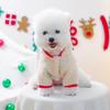 Pet clothes autumn and winter new small dog puppies happy dog cat warm and comfortable first Christmas sweater
