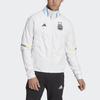 Adidas Argentina National Team World Cup Entrance Print Logo Zip-Up Stand Collar Jacket Men Jacket White IC4446
