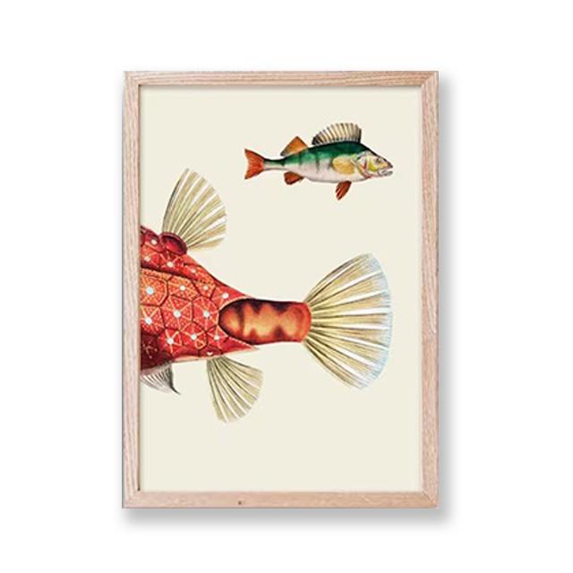 

Винтажные постеры с рыбным принтом, историей природы, картины на холсте, ретро настенное искусство, HD изображение для гостиной, домашнего офиса, декор, безрамное 21x30cm No Framed