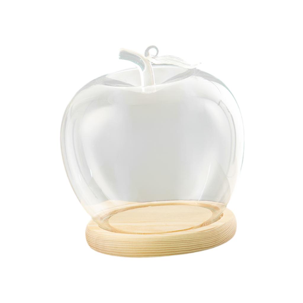 Glass Display Dome Clock with Wooden Base Plant Glass Container Jar Everlasting Lid Christmas Decoration Stand for Crafts Roses